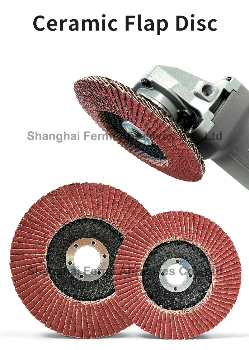 125*22mm Zironia & Aluminum Oxide Flap Disk Flap Disc for Metal (Professional Manufacturer)